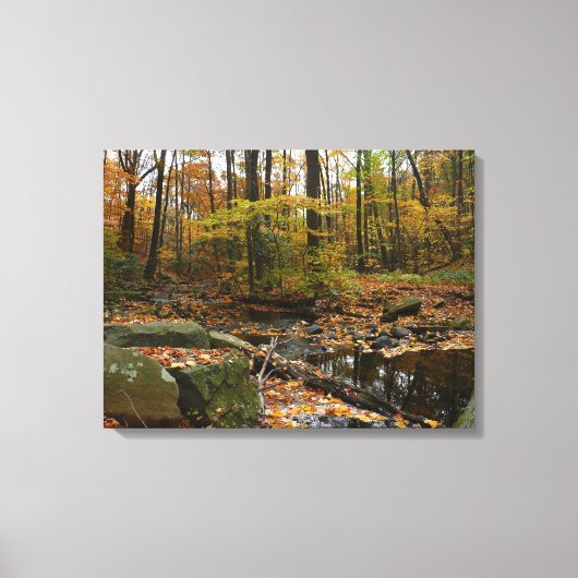 Herfst Creek met reflectie op Laurel Hill Park Canvas Afdruk (Voorkant)