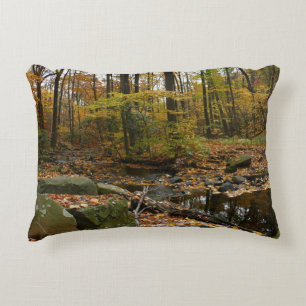 Herfst Creek met reflectie op Laurel Hill Park Decoratief Kussen