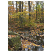 Herfst Creek met reflectie op Laurel Hill Park Klembord (Achterkant)