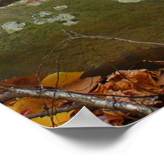 Herfst Creek met reflectie op Laurel Hill Park Poster (Hoek)