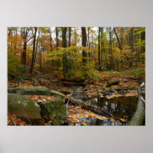 Herfst Creek met reflectie op Laurel Hill Park Poster (Voorkant)