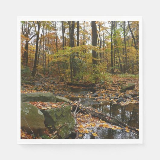 Herfst Creek met reflectie op Laurel Hill Park Servetten (Voorkant)