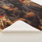 Herfst Dachshund Sherpa Deken (3/4)