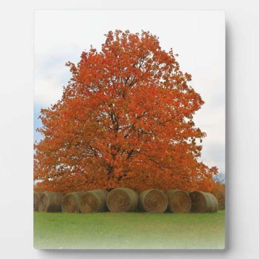 herfst dag fotoplaat (Voorkant)