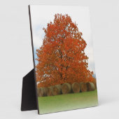 herfst dag fotoplaat (Zijkant)