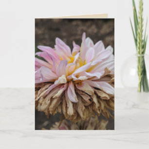 Herfst Dahlia Blank Wenskaart Kaart