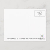 Herfst Daisy Flower Briefkaart (Achterkant)