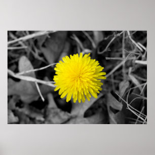 Herfst Dandelion poster
