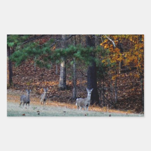 Herfst Deer in de afstand Rechthoekige Sticker (Voorkant)