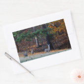 Herfst Deer in de afstand Rechthoekige Sticker (Envelop)