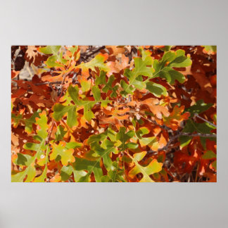 Herfst Eiken Tapijt Poster