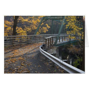 Herfst en brug over de Millers