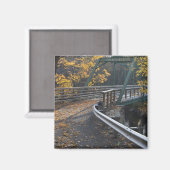 Herfst en brug over de Millers Magneet (Voorkant / Achterkant)