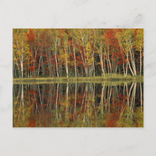 Herfst en vogelreflecties; Hiawatha Briefkaart