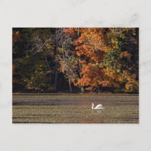 Herfst en zwoegvloed briefkaart