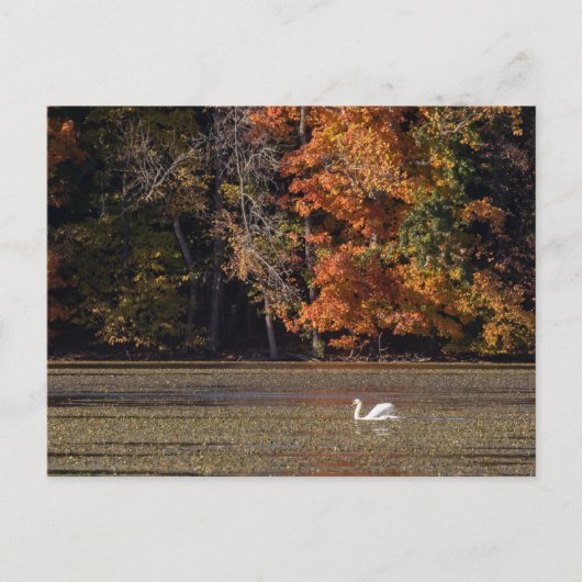 Herfst en zwoegvloed briefkaart (Voorkant)