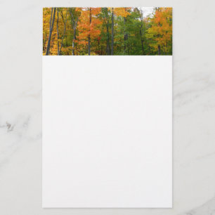 Herfst Esdoorn Bomen Herfst Natuur Fotografie Briefpapier