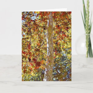 Herfst Esdoorn Boom Kunst Notitiekaart