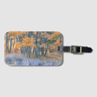 Herfst Esdoornbos Landschap Bagagelabel