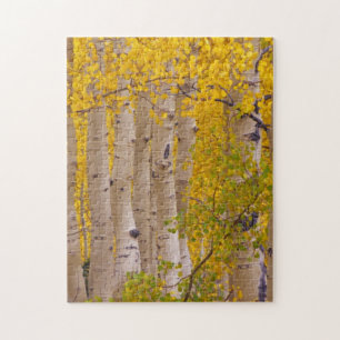 Herfst-espen in Kebler Pass in Colorado Legpuzzel