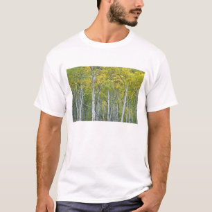 Herfst-espen in McClurepas in Colorado. T-shirt
