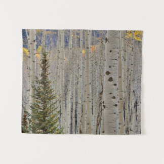 Herfst Espenbossen | Colorado Rocky Mountains Wandkleed