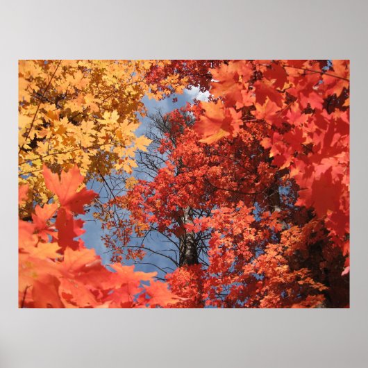 Herfst Fantasy (2) Poster (Voorkant)