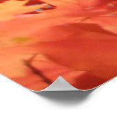 Herfst Fantasy (2) Poster (Hoek)