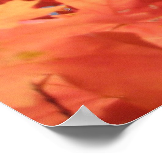 Herfst Fantasy (2) Poster (Hoek)