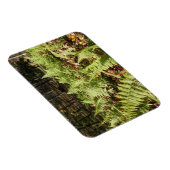 Herfst Ferns Magneet (Rechterzijde)
