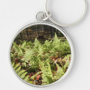 Herfst Ferns Sleutelhanger