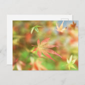 Herfst Filigree Briefkaart (Voorkant / Achterkant)