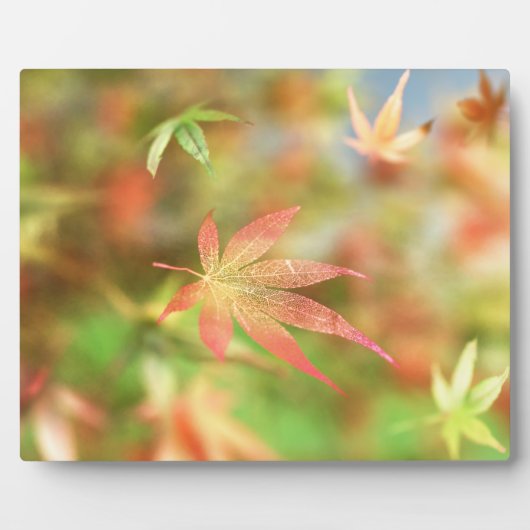 Herfst Filigree Plaque Fotoplaat (Voorkant)