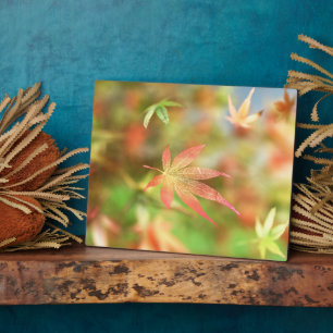 Herfst Filigree Plaque Fotoplaat