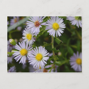 Herfst Flowers Briefkaart