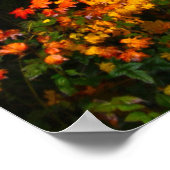 Herfst Foliage 2 Afdrukken met Scriptversie Poster (Hoek)