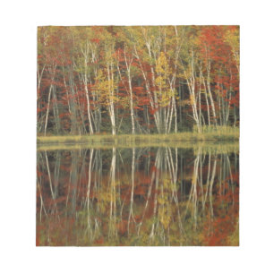 Herfst Foliage and Birch Reflections; Hiawatha Notitieblok