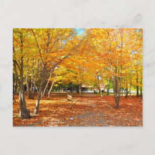 Herfst Foliage Canyon Sainte Anne Quebec Briefkaar Briefkaart
