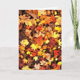 Herfst foliage, de kleuren van de najaarse Kaart