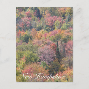 Herfst Foliage, Franconia Notch State Park, NH Briefkaart