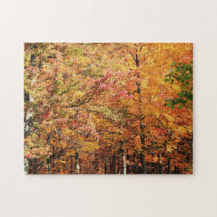 Herfst Foliage in New England Legpuzzel