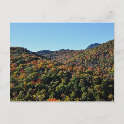 Herfst Foliage langs de Blauwe Ridge Parkway, NC Briefkaart (Voorkant)