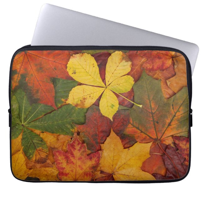 Herfst Foliage Laptop Sleeve (Voorkant)