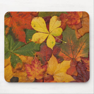Herfst Foliage Muismat