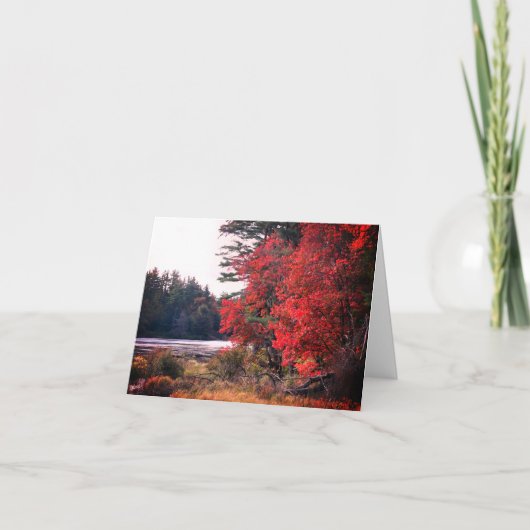 Herfst Foliage Pond  Note Kaart (Voorkant)