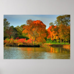 Herfst Foliage Poster