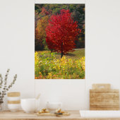 Herfst Foliage Poster (Keuken)