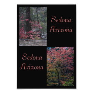Herfst foliage Sedona, Arizona Foto Afdruk