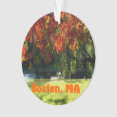 Herfst Foliage uit Boston Ornament (voorkant)