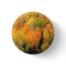 Herfst Foliage Valley